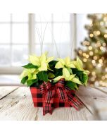 Holiday Floral Centerpiece, Christmas gift baskets, floral gift baskets