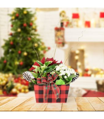Christmas Flower Basket, floral gift baskets, plant gift baskets