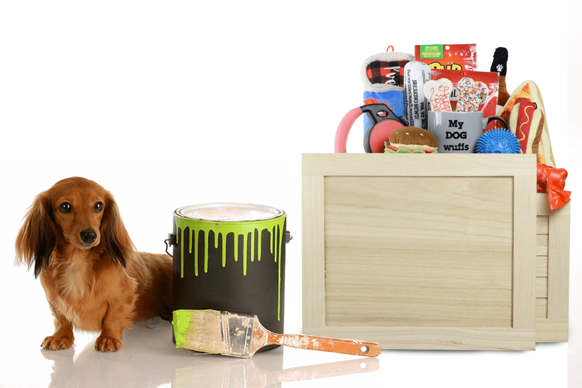 DESIGN YOUR Custom American Dog Subscription Box